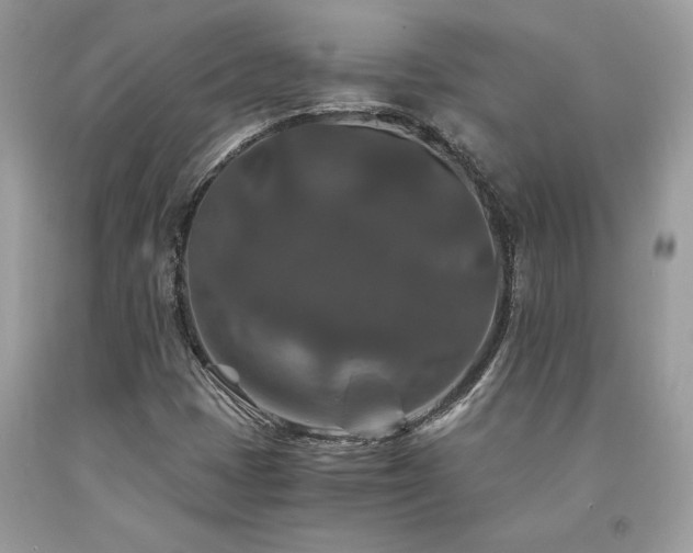 X0000094181401200710261121