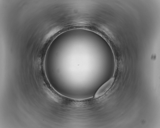 X0000094181402200710261121