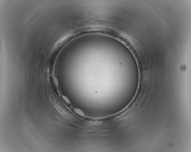 X0000094181403200710261121