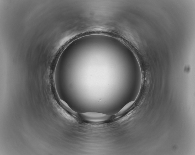 X0000094181404200710261121