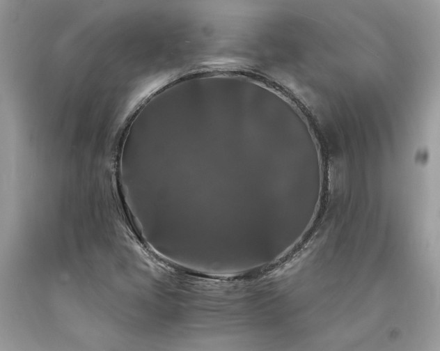 X0000094181405200710261121
