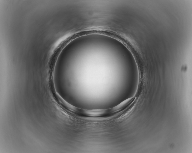 X0000094181406200710261121