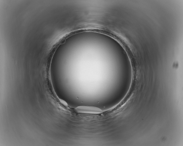 X0000094181407200710261121