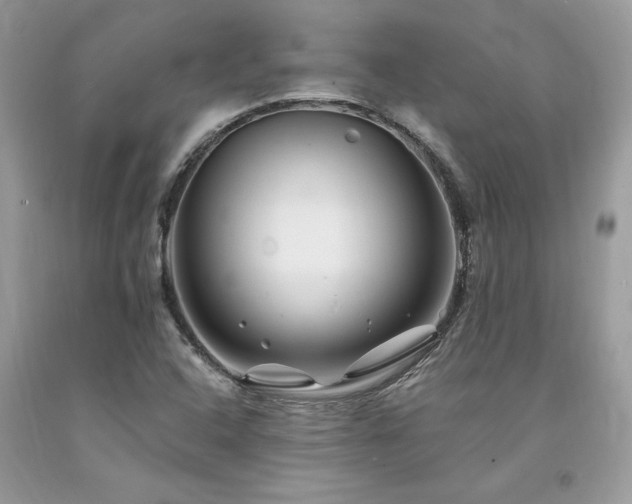 X0000094181408200710261121