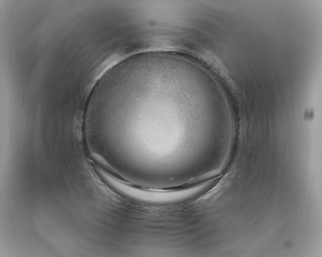 X0000094181409200710261121