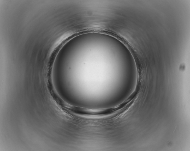 X0000094181410200710261121