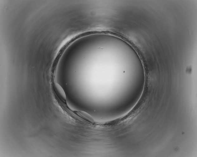 X0000094181412200710261121