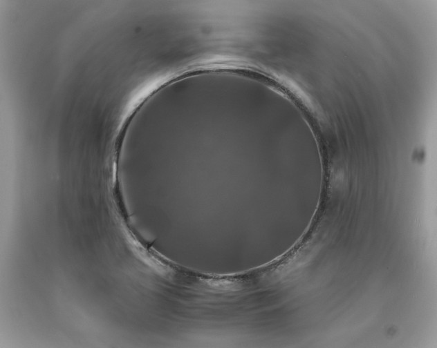 X0000094181413200710261121