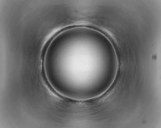 X0000094181414200710261121
