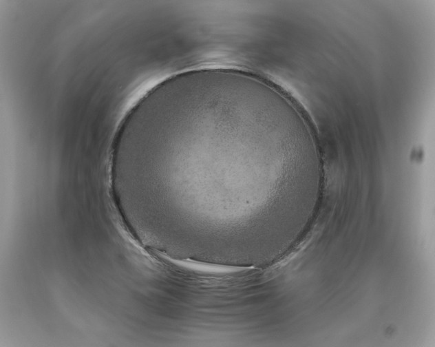 X0000094181415200710261121