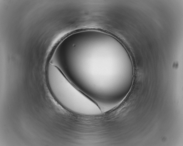 X0000094181416200710261121