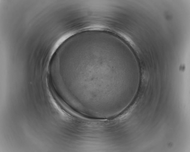 X0000094181418200710261121