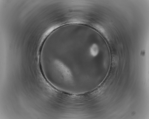 X0000094181419200710261121