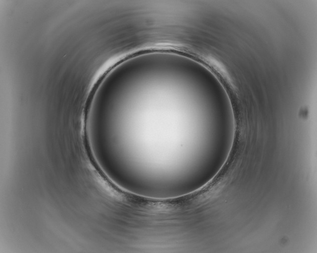 X0000094181420200710261121