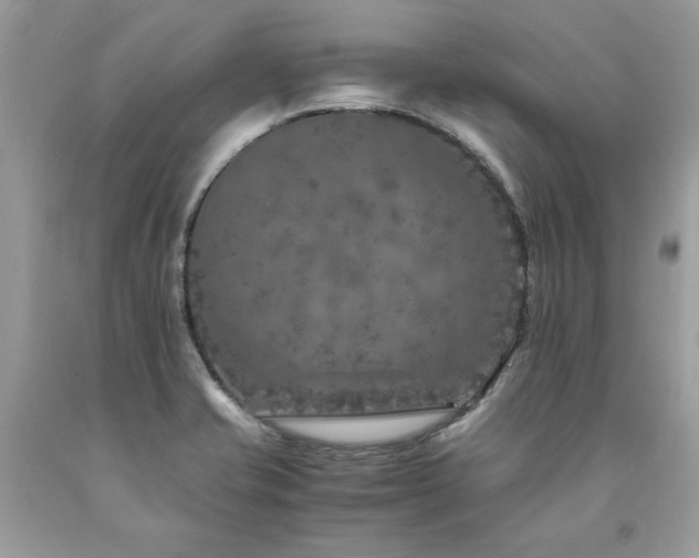 X0000094181421200710261121