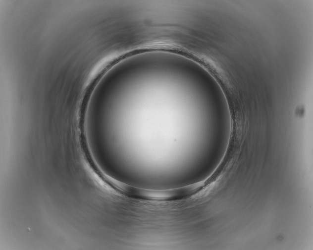 X0000094181422200710261121