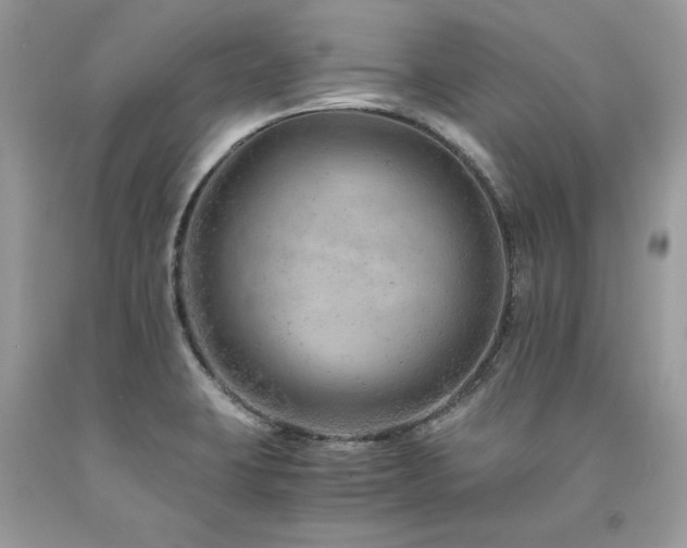 X0000094181423200710261121