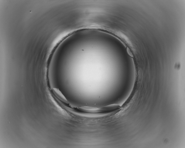X0000094181424200710261121