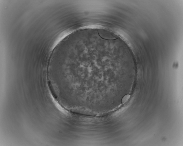 X0000094181425200710261121