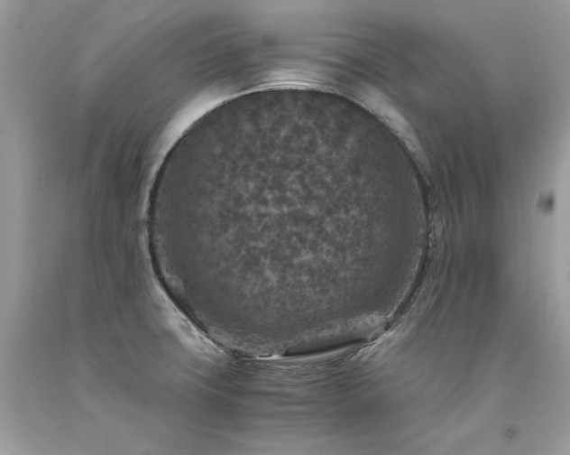 X0000094181427200710261121
