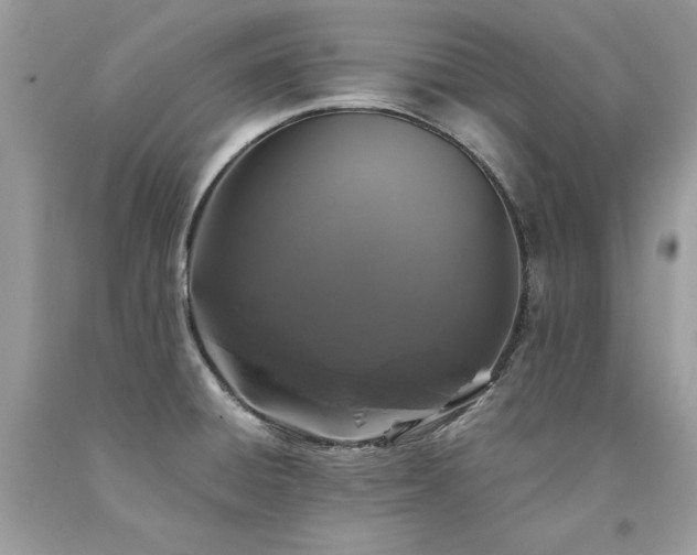 X0000094181428200710261121