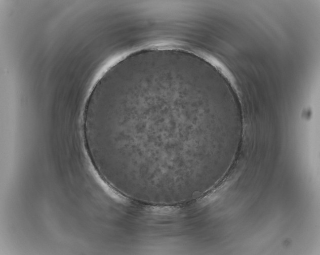 X0000094181429200710261121