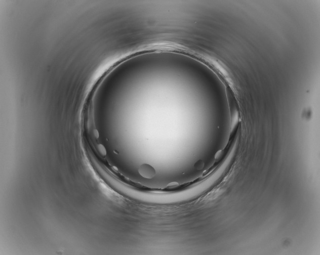 X0000094181430200710261121