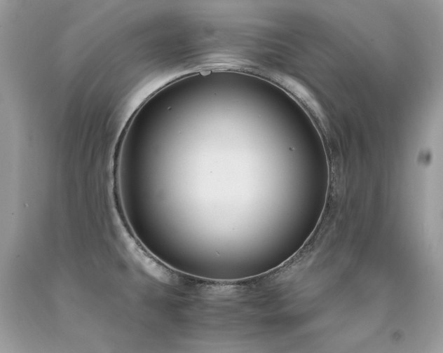 X0000094181431200710261121
