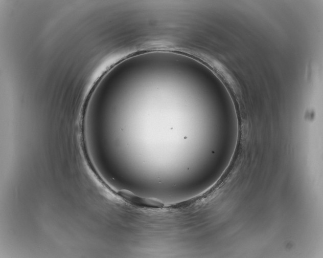 X0000094181432200710261121