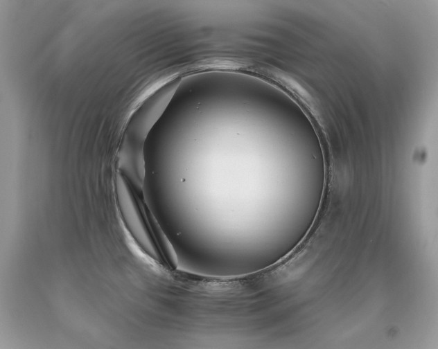 X0000094181433200710261121