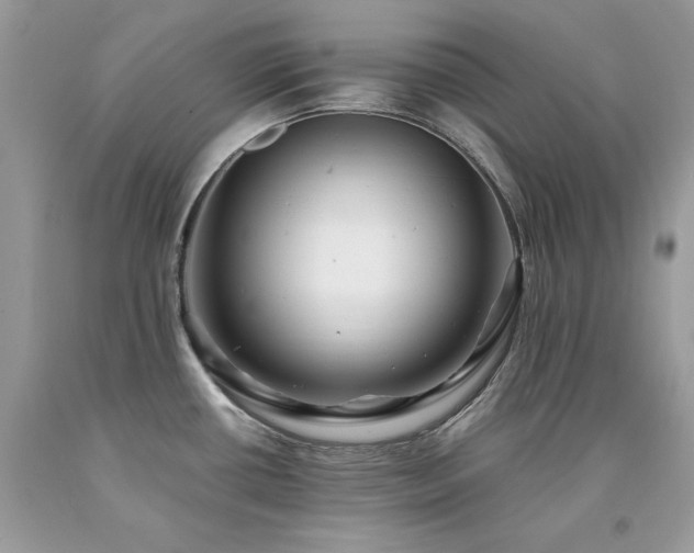 X0000094181434200710261122