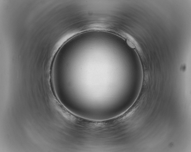 X0000094181435200710261122