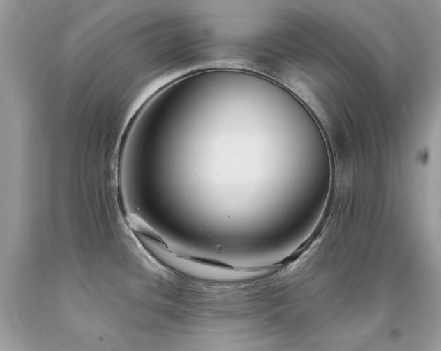X0000094181436200710261122