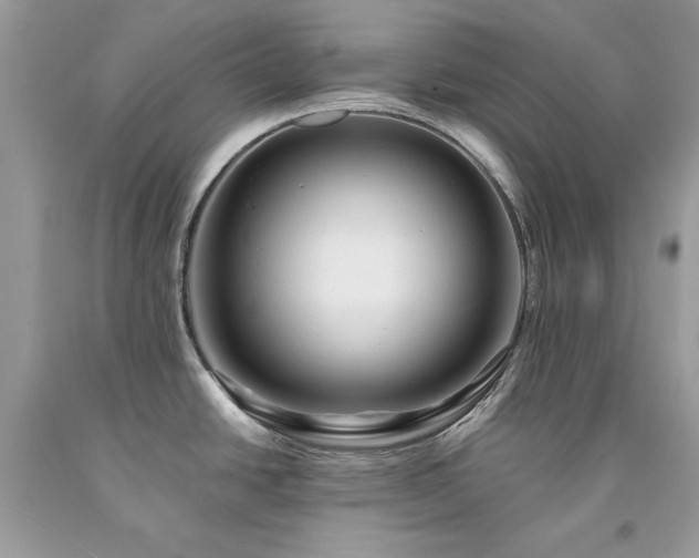 X0000094181438200710261122