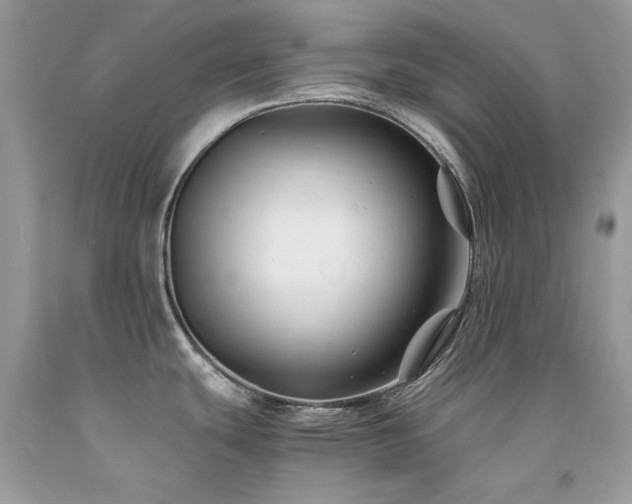 X0000094181439200710261122