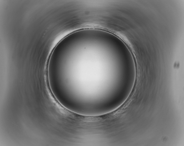 X0000094181440200710261122