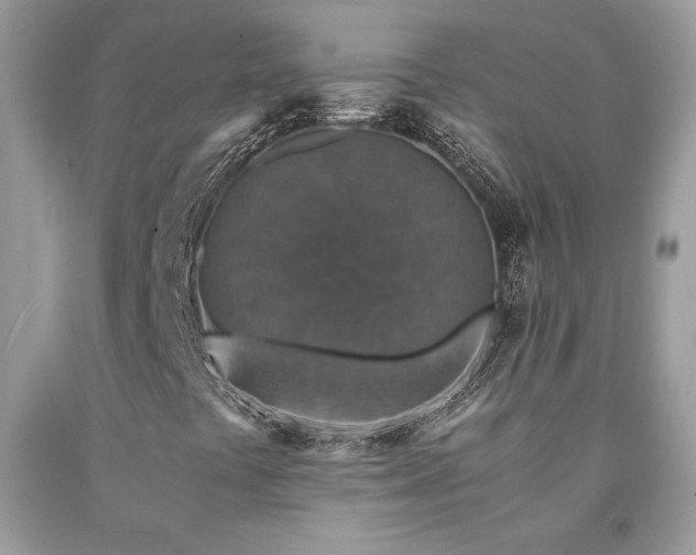 X0000094181441200710261121