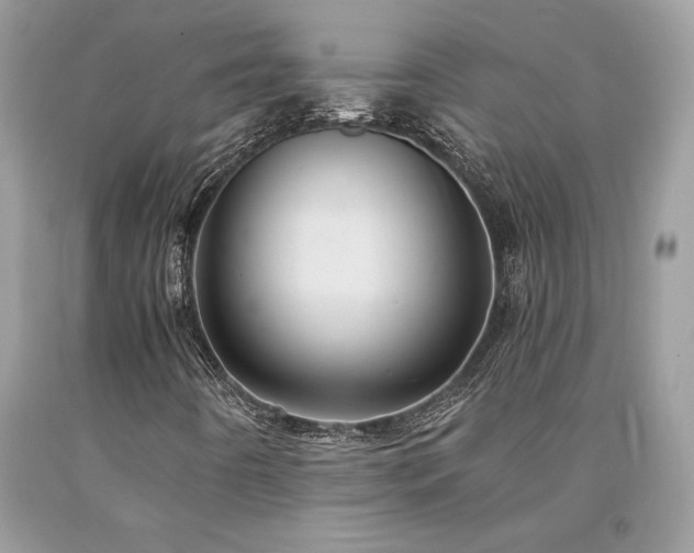 X0000094181442200710261121
