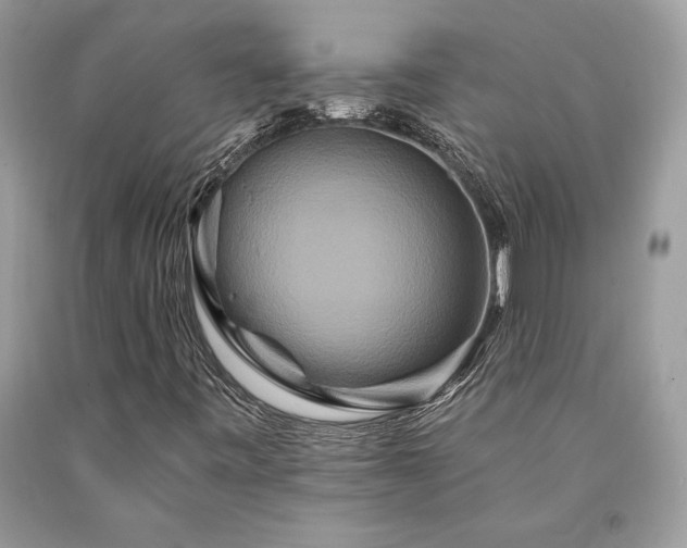 X0000094181443200710261121