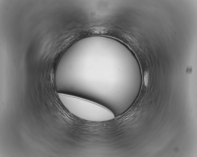 X0000094181444200710261121