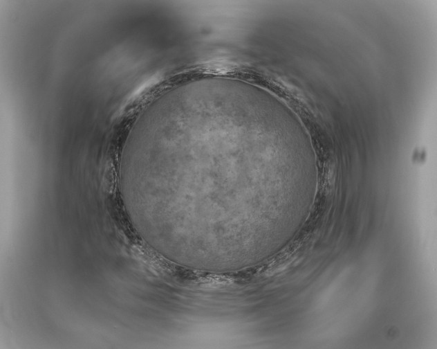 X0000094181446200710261121