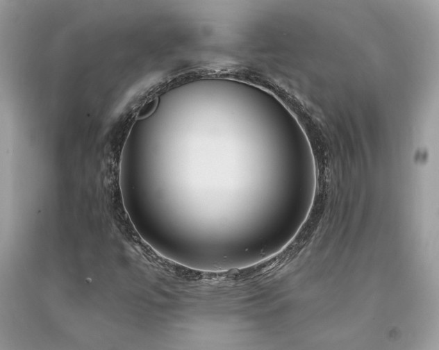 X0000094181447200710261121