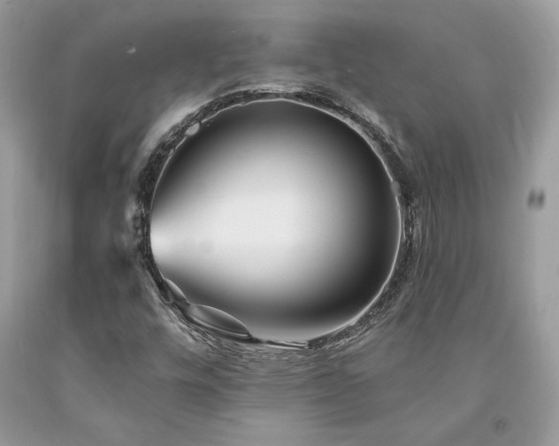 X0000094181448200710261121