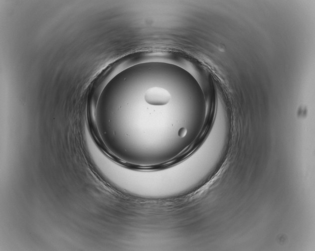 X0000094181449200710261121