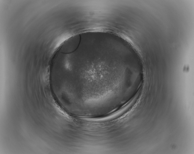 X0000094181450200710261121