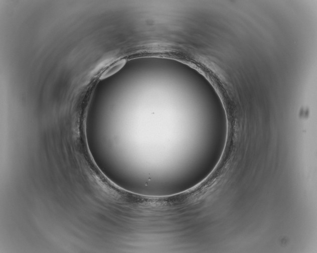 X0000094181451200710261121