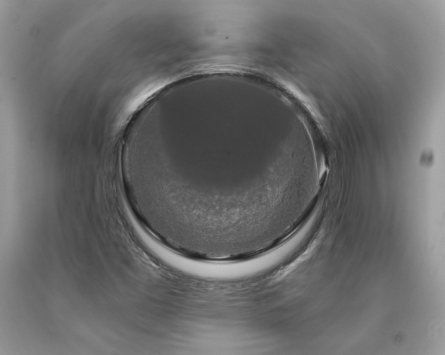 X0000094181453200710261121