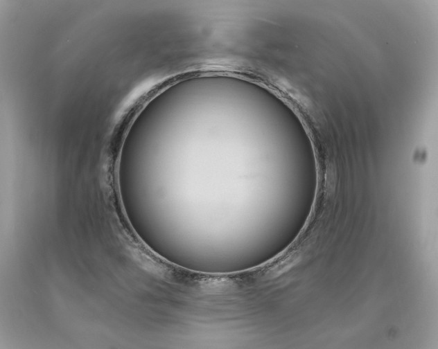 X0000094181454200710261121