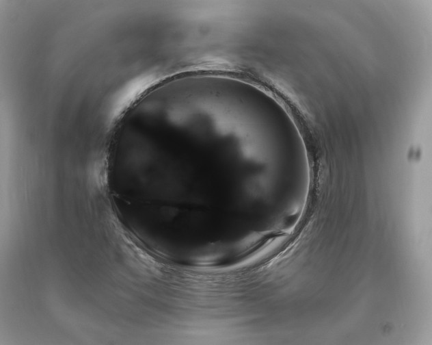 X0000094181455200710261121
