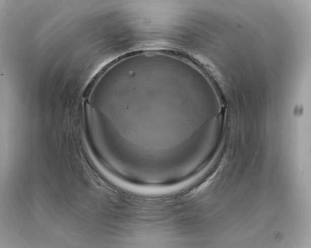 X0000094181457200710261121